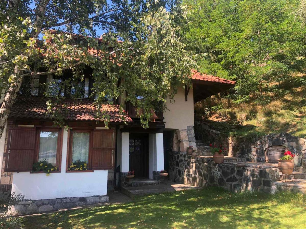 Apartments Carevo Polje Zlatibor Ngoại thất bức ảnh